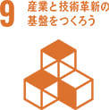 sdgs9